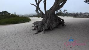 Riley Rose Norcal Part 6